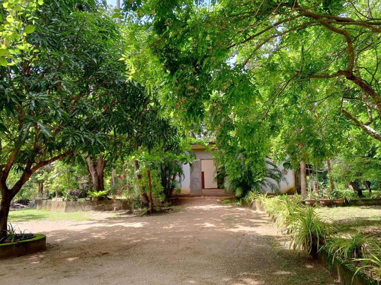 Hotel Deer Garden Guest Polonnaruwa Esterno foto